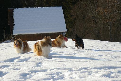 Fotos f. Homepage Galerie 051